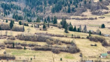 Bir dağ manzarasının güzel bir görüntüsü