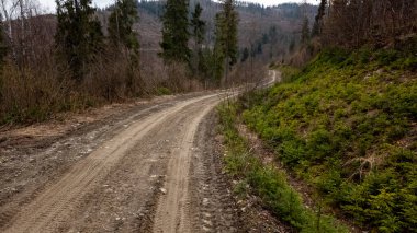 İlkbaharda ormanın içinden geçen toprak yol. Ormandaki yüksek dağ yolu..