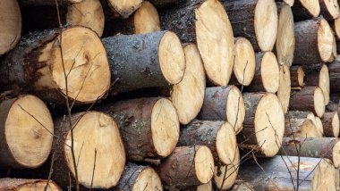 istiflenmiş tahta kütükleri, ahşap dokusu, arkaplan