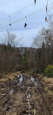 Bir kış günü ormanda bir yol.