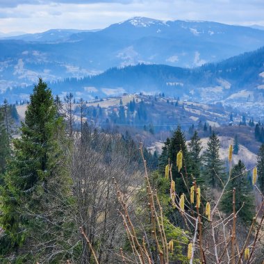 Orman ve dağlarla kışın manzarası