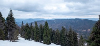 Güzel kış manzarası karla kaplı - kışın ağaçlar ve dağlar.