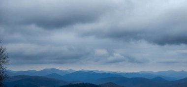 Dağlarda bir ağacı olan güzel bir manzara.