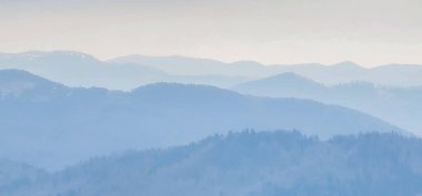 köknar ağaçlı kış dağları