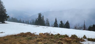 Karpatlar 'da dağ manzarası