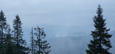 Doğanın güzel manzarası