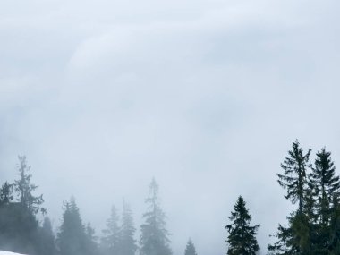 Karla kaplı ağaçlarla kaplı güzel kış manzarası