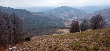 Sabahları Ukrayna Karpatları 'nda sonbahar manzarası
