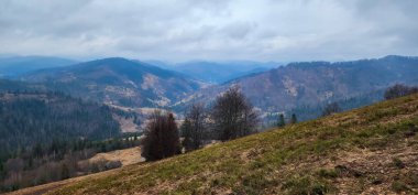 Bulutlarda dağları olan güzel bir manzara.