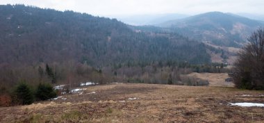 Karpat Dağları güzel kış manzarası