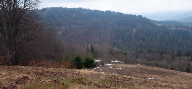 Arkasında bir dağ olan güzel bir manzara.