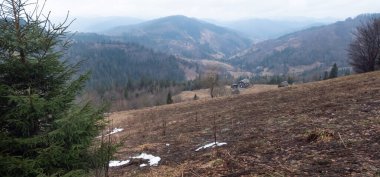 Karpat Dağlarının kış manzarası