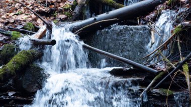 Doğanın arka planında güzel bir şelale