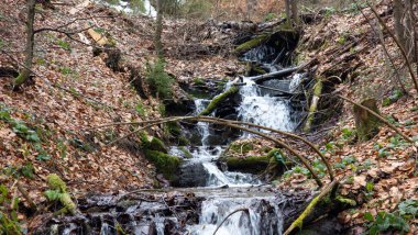 Sonbahar ormanında güzel bir şelale.