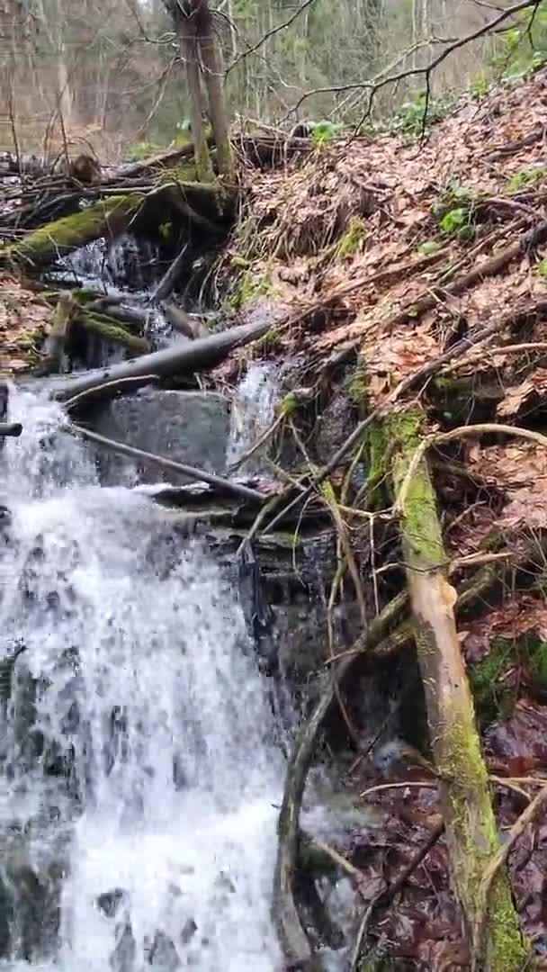 Красивый Водопад Лесу — стоковое видео