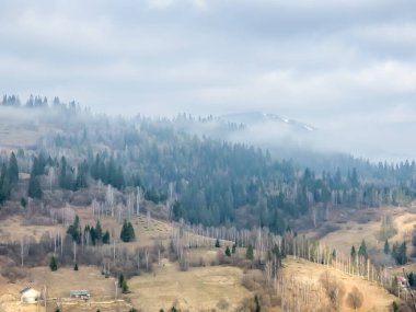 Önünde sis ve tepeler olan Karpat Dağları manzarası, Ukrayna.