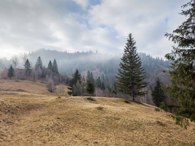 Sonbahar sezonu dağ manzarası