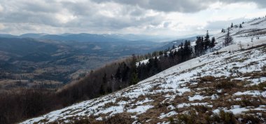 Sonbaharda Karpat Dağları. Kış ormanında güzel bir manzara