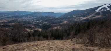 Güzel dağlar manzarası. Karpat Dağları.
