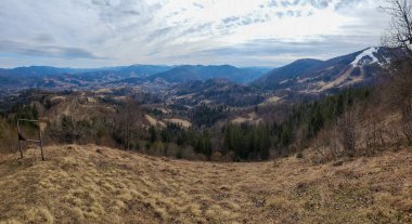Sonbaharda ormanın güzel manzarası