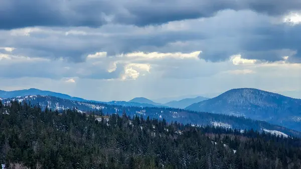 Krásná Horská Krajina Lesem Zamračenou Oblohou — Stock fotografie