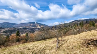 Karpat Dağları 'nın güzel manzarası
