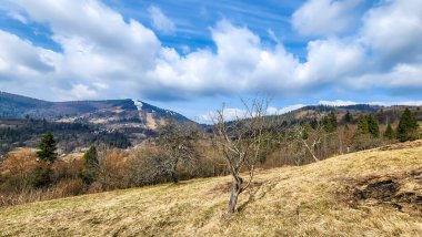 Baharda dağlar ve ağaçlar ön planda olacak.