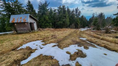 Ormandaki ahşap bir evin güzel bir fotoğrafı.