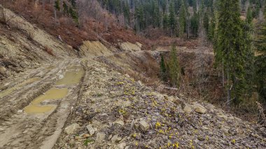 Nehirli bir dağ yolu