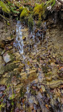 Ormanda güzel bir şelale