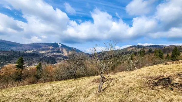 Landskap Våren Med Berg Och Träd Förgrunden — Stockfoto