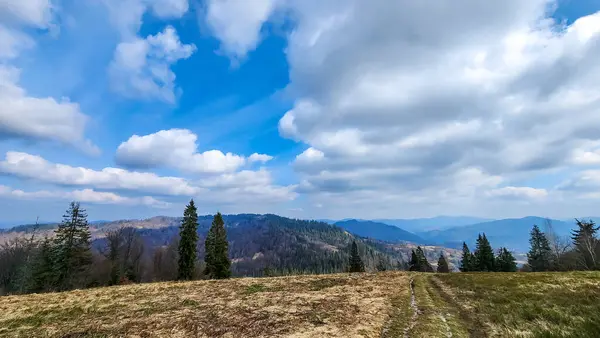 Vacker Utsikt Över Bergen Med Molnen Himlen Och Ett Träd — Stockfoto