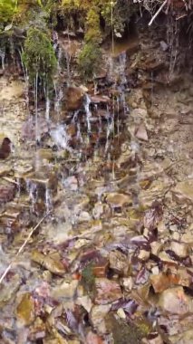 Ormanda güzel bir şelale