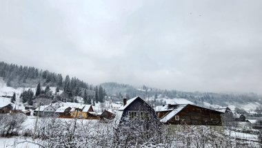 Kar ve ağaçlarla kaplı kış manzarası