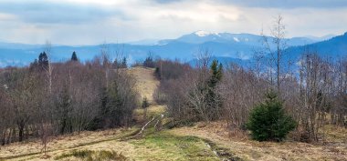 Karla kaplı bir ormanın manzarası