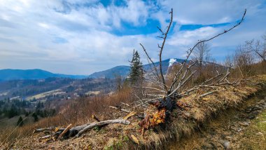 Doğanın güzel manzarası