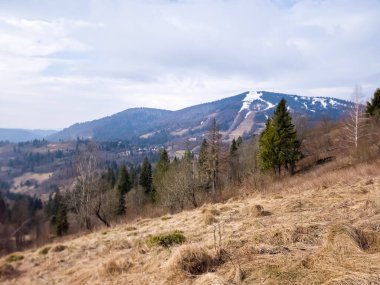 Karpat Dağları'bahar.