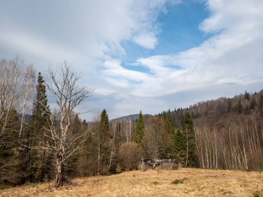 Ormanın ve dağların güzel manzarası