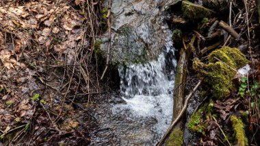 Kışın ormandaki küçük derenin dikey seçici odak noktası