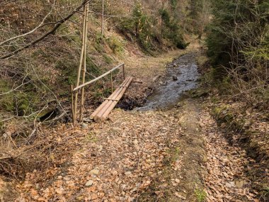 Sonbaharda dağ nehri Karpat dağlarında devrilmiş ağaçlarla