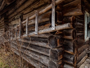 Ormandaki eski ahşap ev.