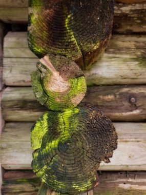 Ahşap bir duvara istiflenmiş odun yığını.