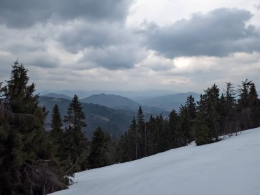 Karpatların dağlarında kış, karlar ve ağaçlarla