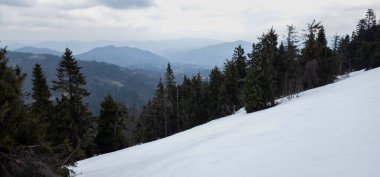 Perşembe Ormanı 'ndaki dağlarda kış yürüyüşü - Almanya