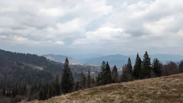 Karpaterna Berg Och Träd Våren — Stockfoto