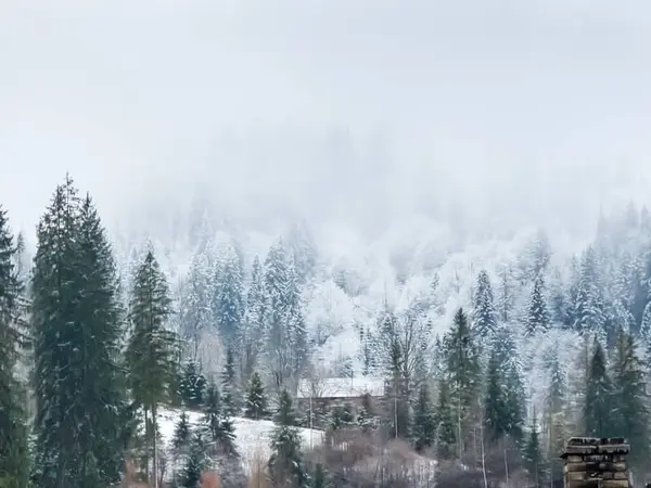 Zasněžená Zimní Krajina Karpatských Horách — Stock fotografie