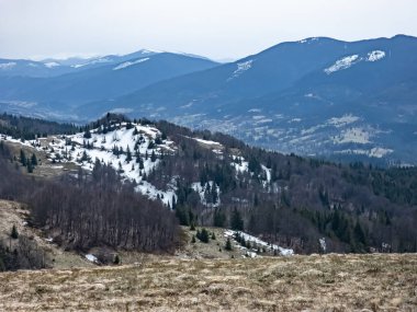 Kış dağları kar ve ağaçlarla kaplı.