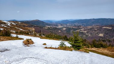 Bir dağ yolu ve orman olan kış manzarası