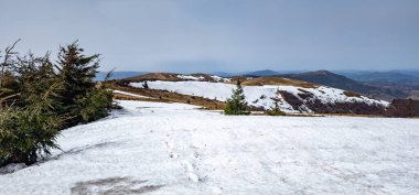 Karla kaplı ağaçlarla kaplı kış manzarası