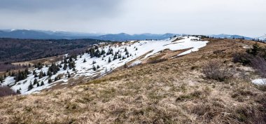 Karpatlar kış manzarası